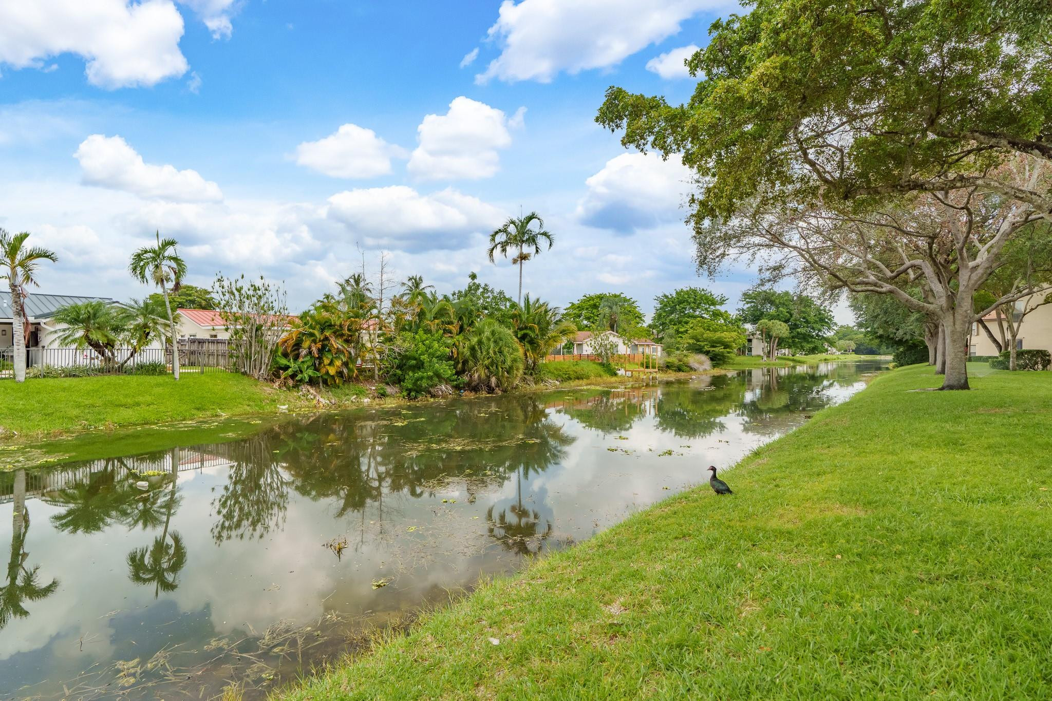 3767 Cocoplum Cir 3767