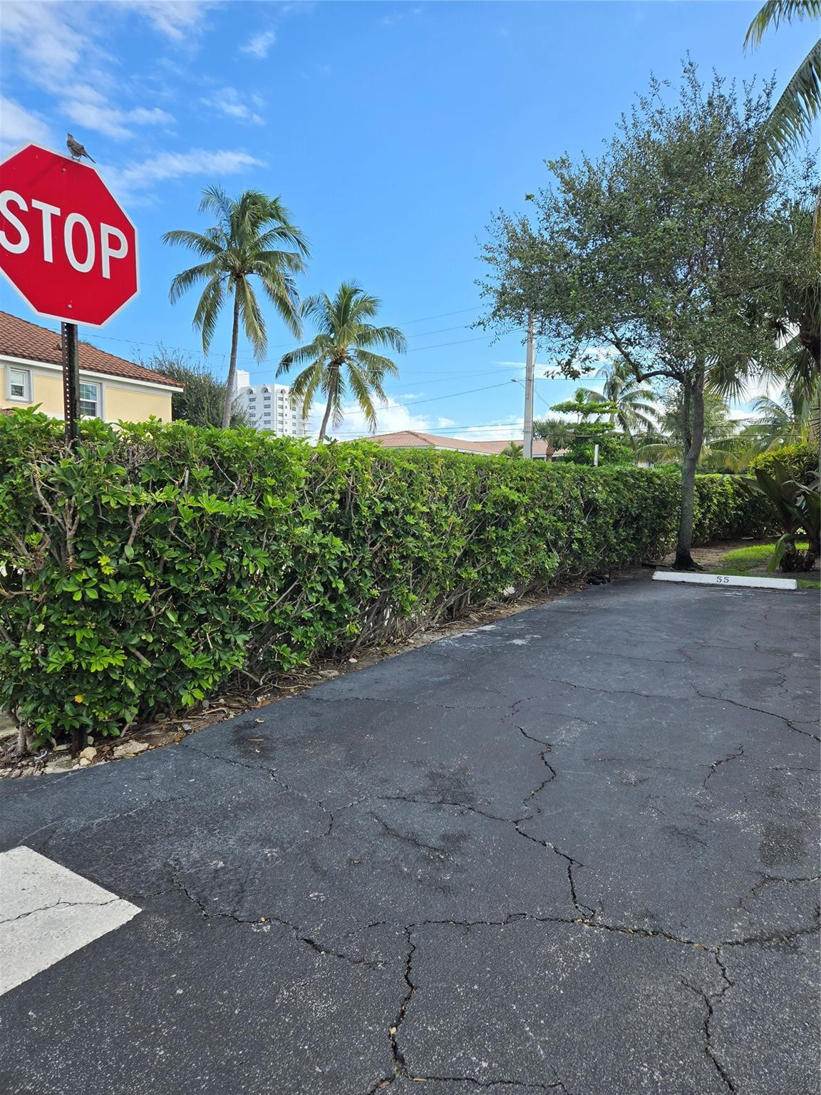 505 NE 20th Avenue 118