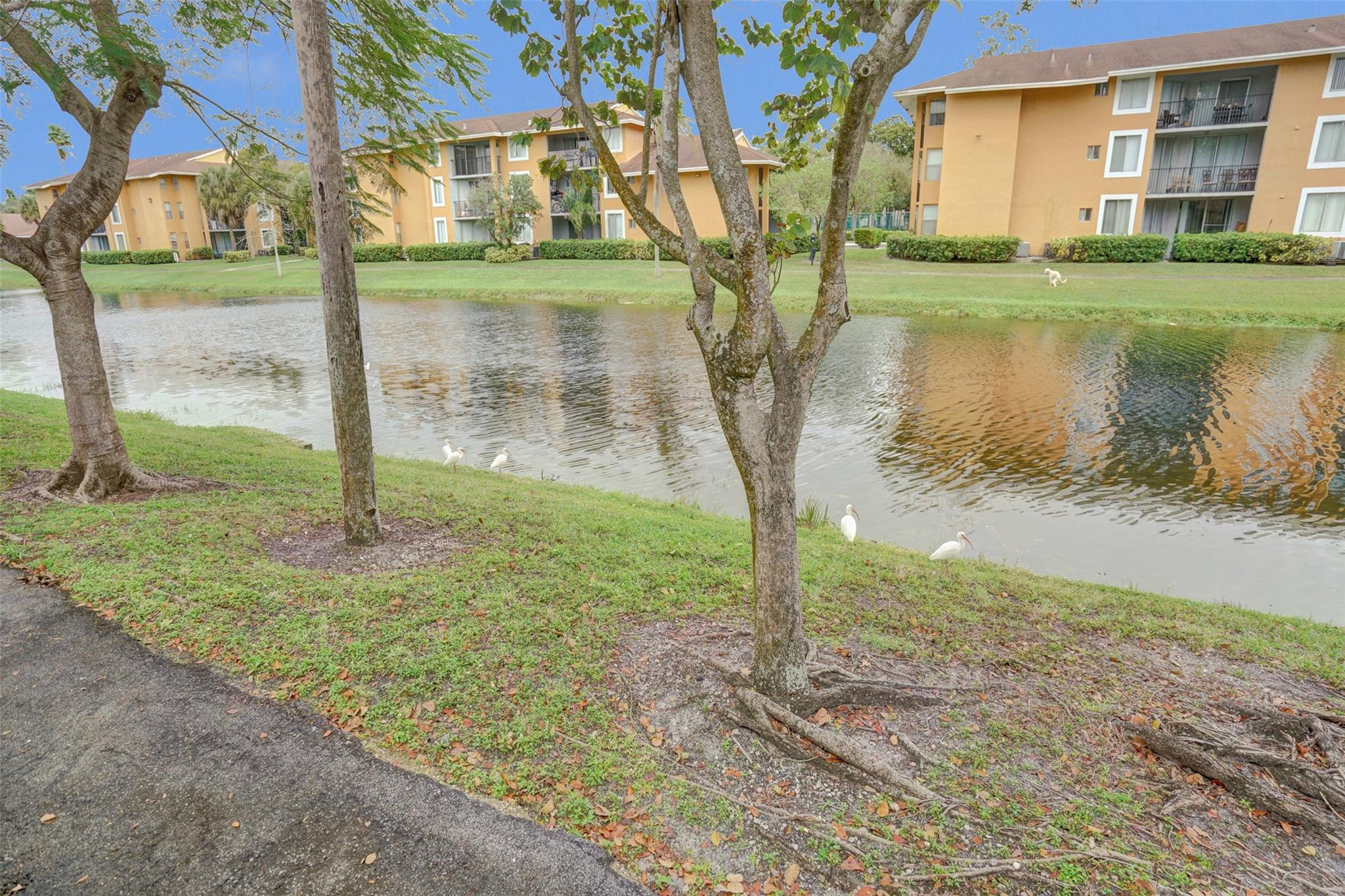7680 NW 79th Avenue P 1, Tamarac Unit: P 1