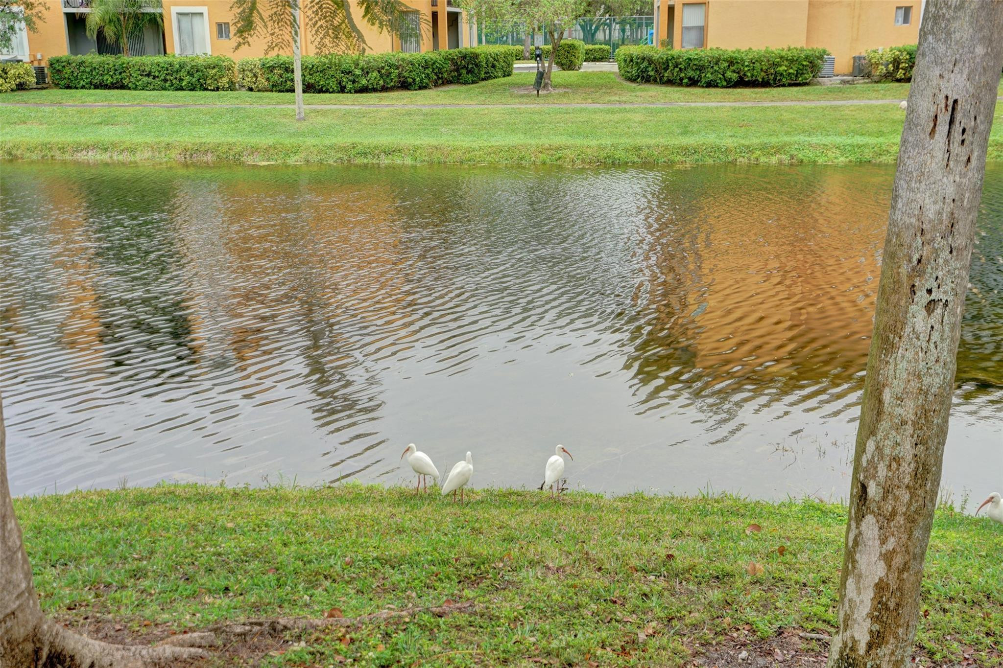 7680 NW 79th Avenue P 1, Tamarac Unit: P 1