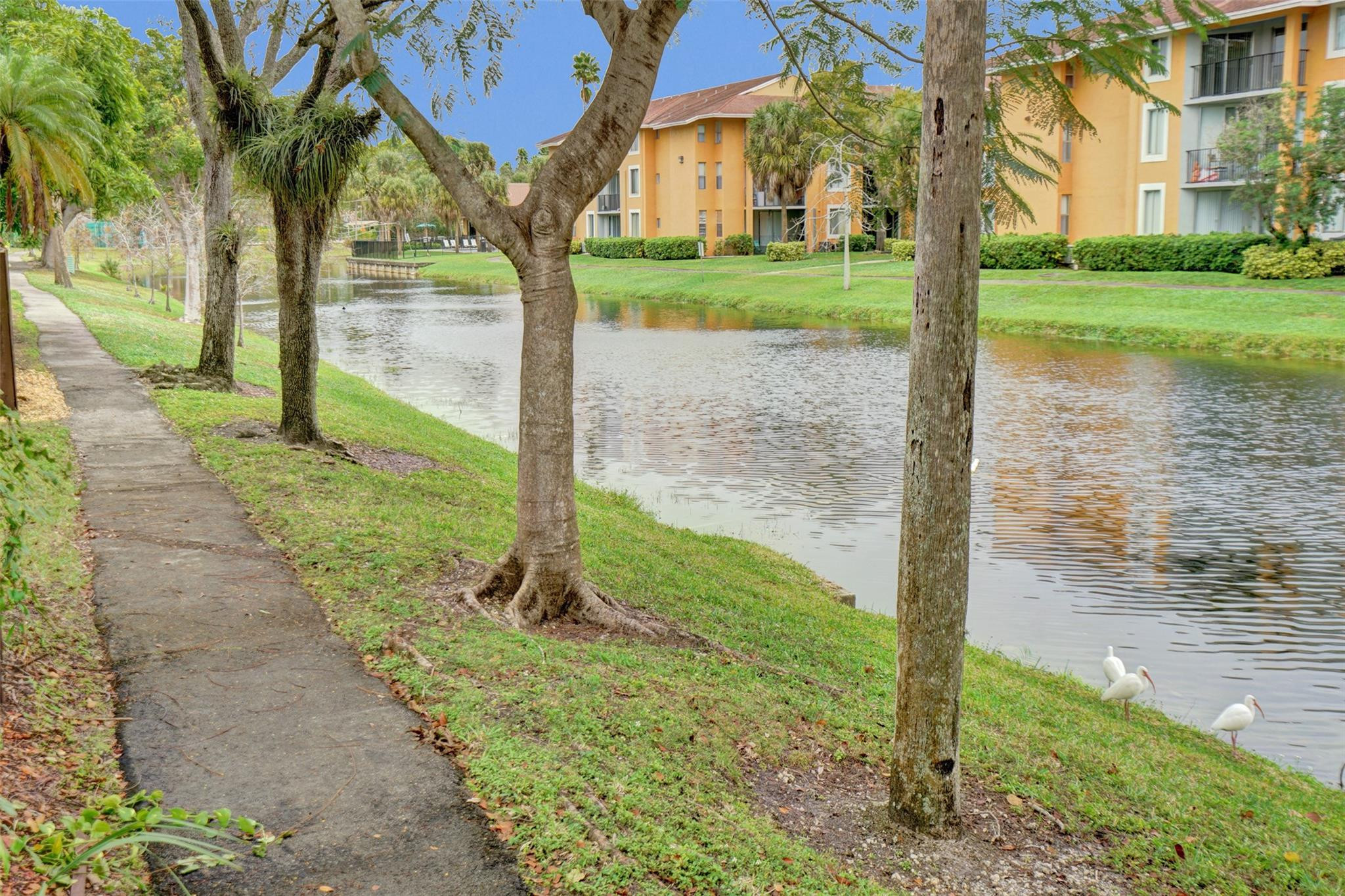 7680 NW 79th Avenue P 1, Tamarac Unit: P 1