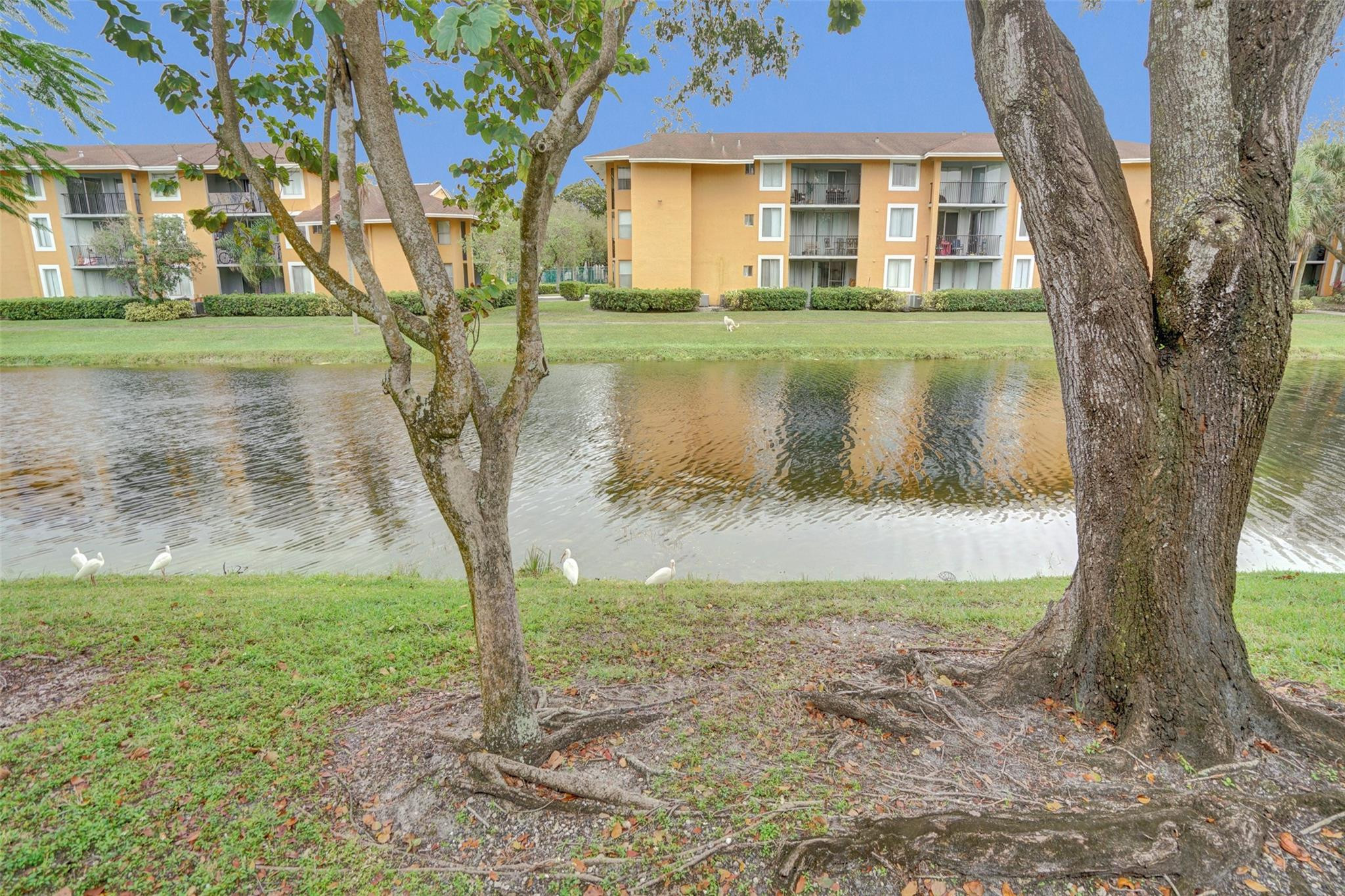 7680 NW 79th Avenue P 1, Tamarac Unit: P 1