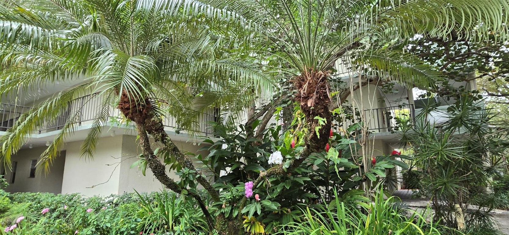 8951 N New River Canal Road 1B