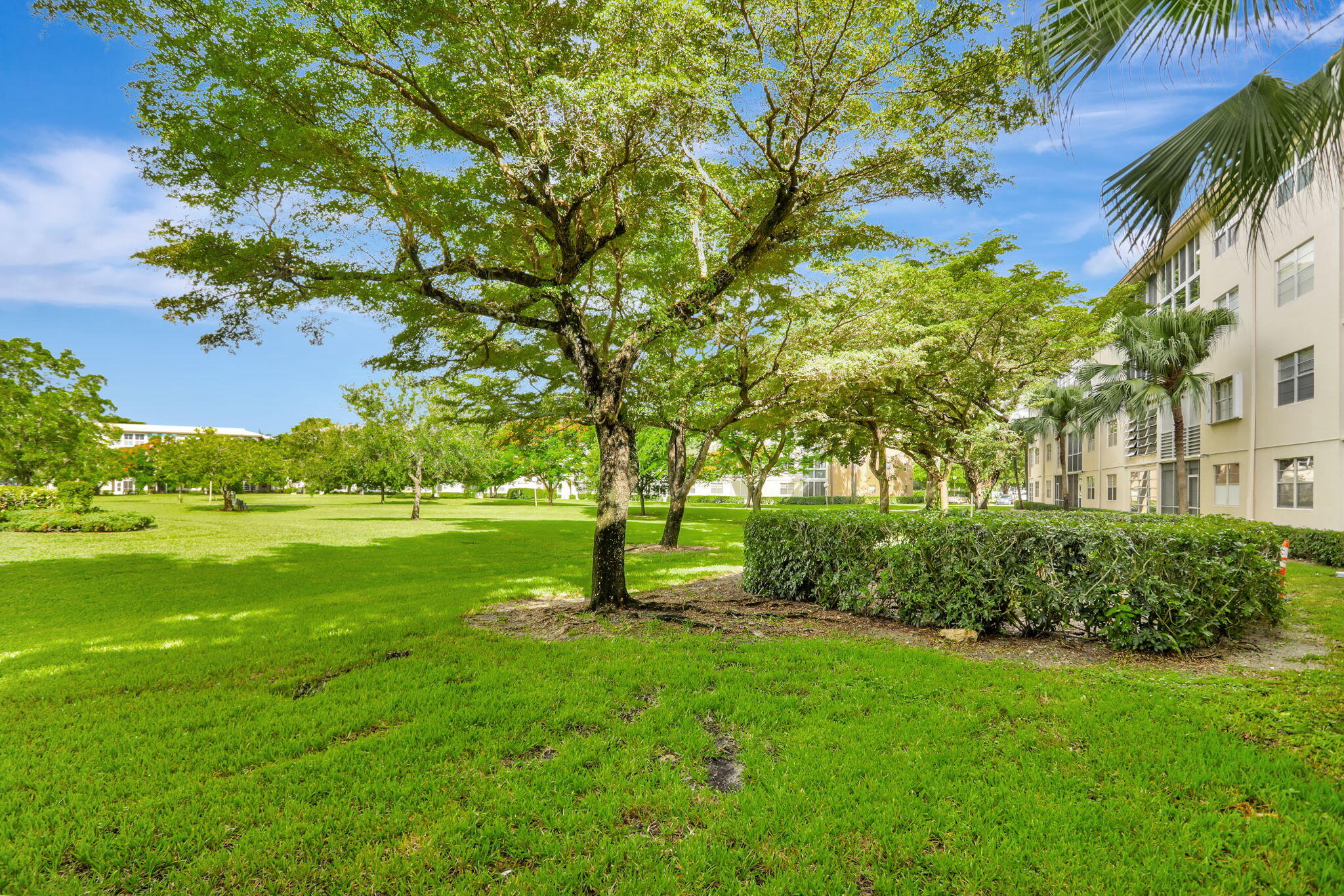 1605 Abaco Drive M4