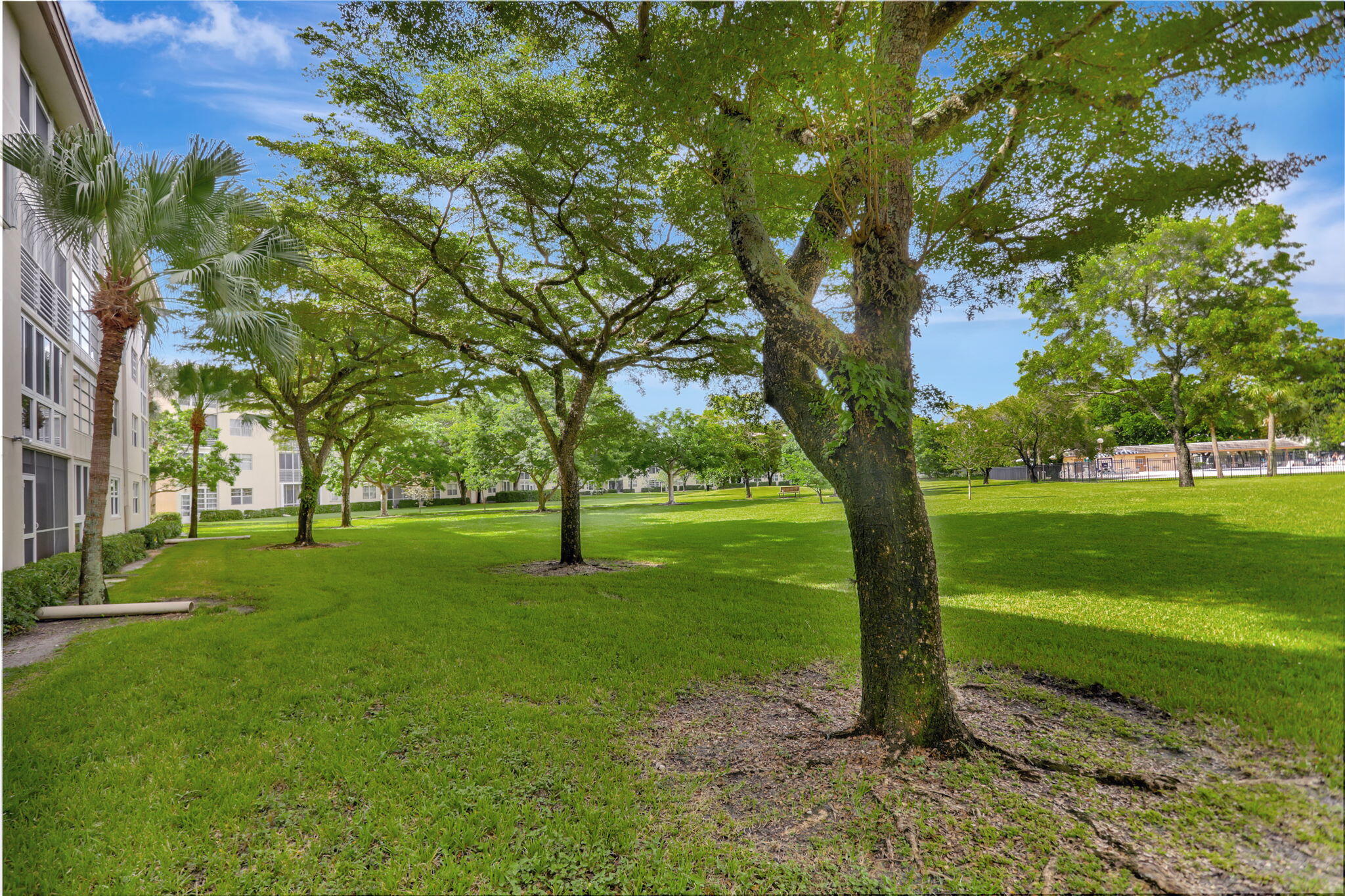 1605 Abaco Drive M4