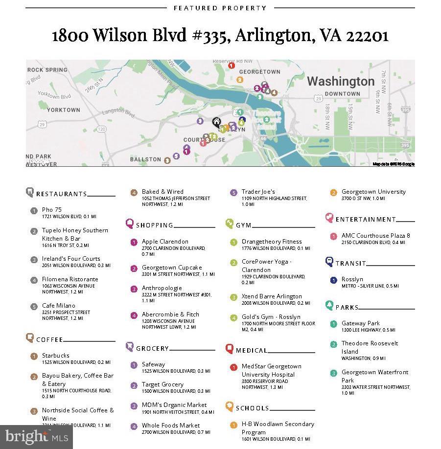 1800 WILSON BOULEVARD 335