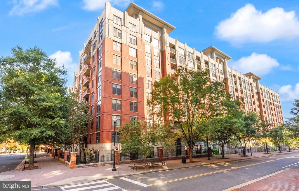Multistory brick and cream-colored apartment building lined by leafy street trees.