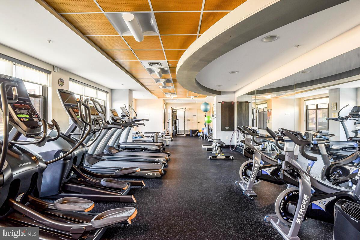 1111 Oronoco St #340