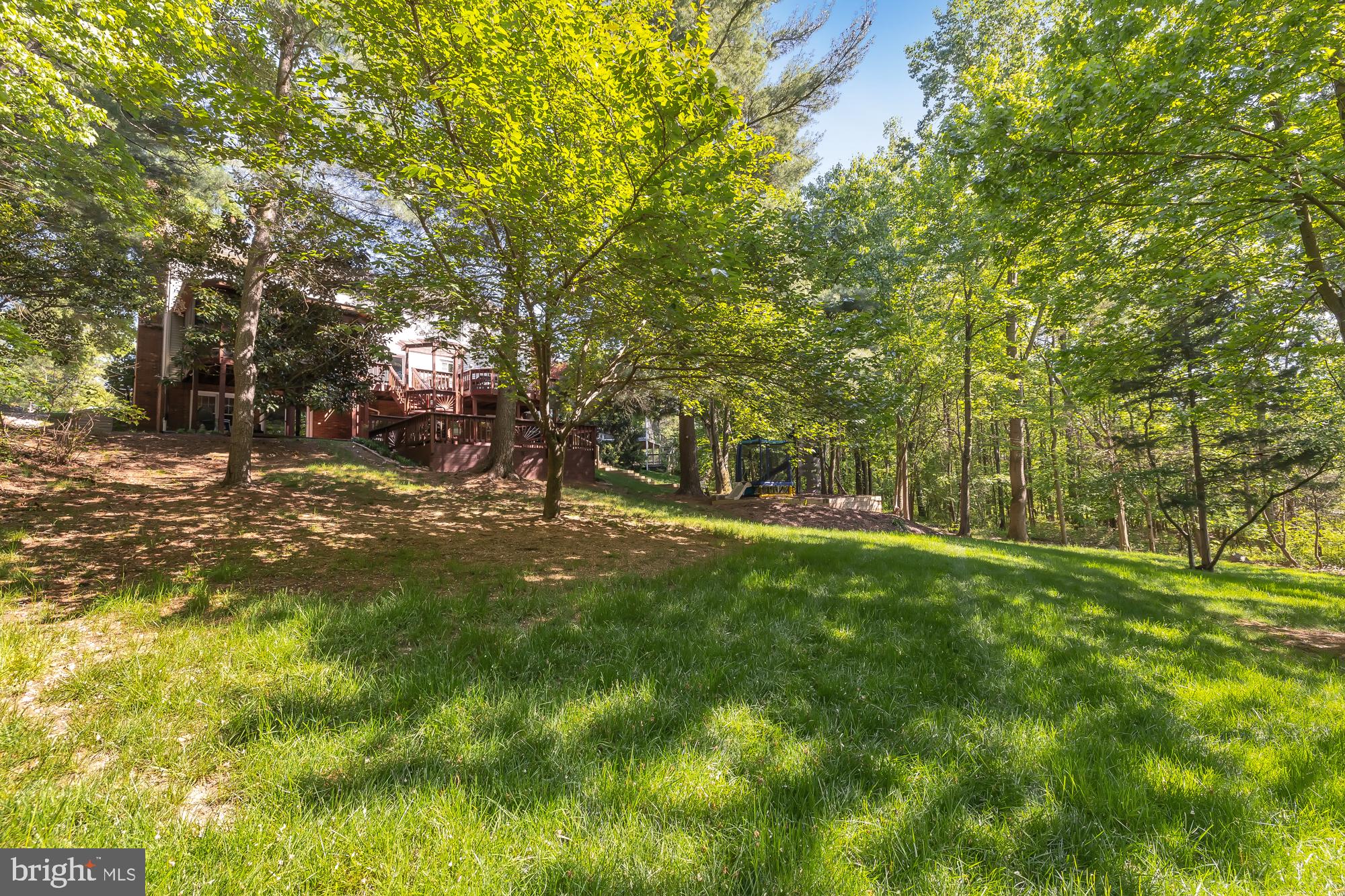 11965 Grey Squirrel Ln