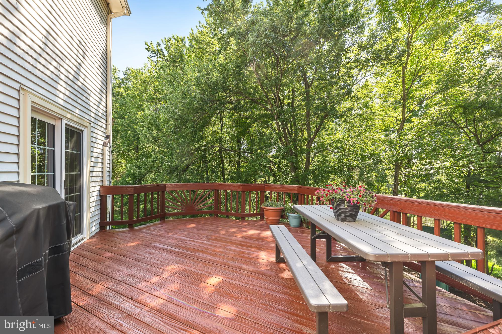 11965 Grey Squirrel Ln