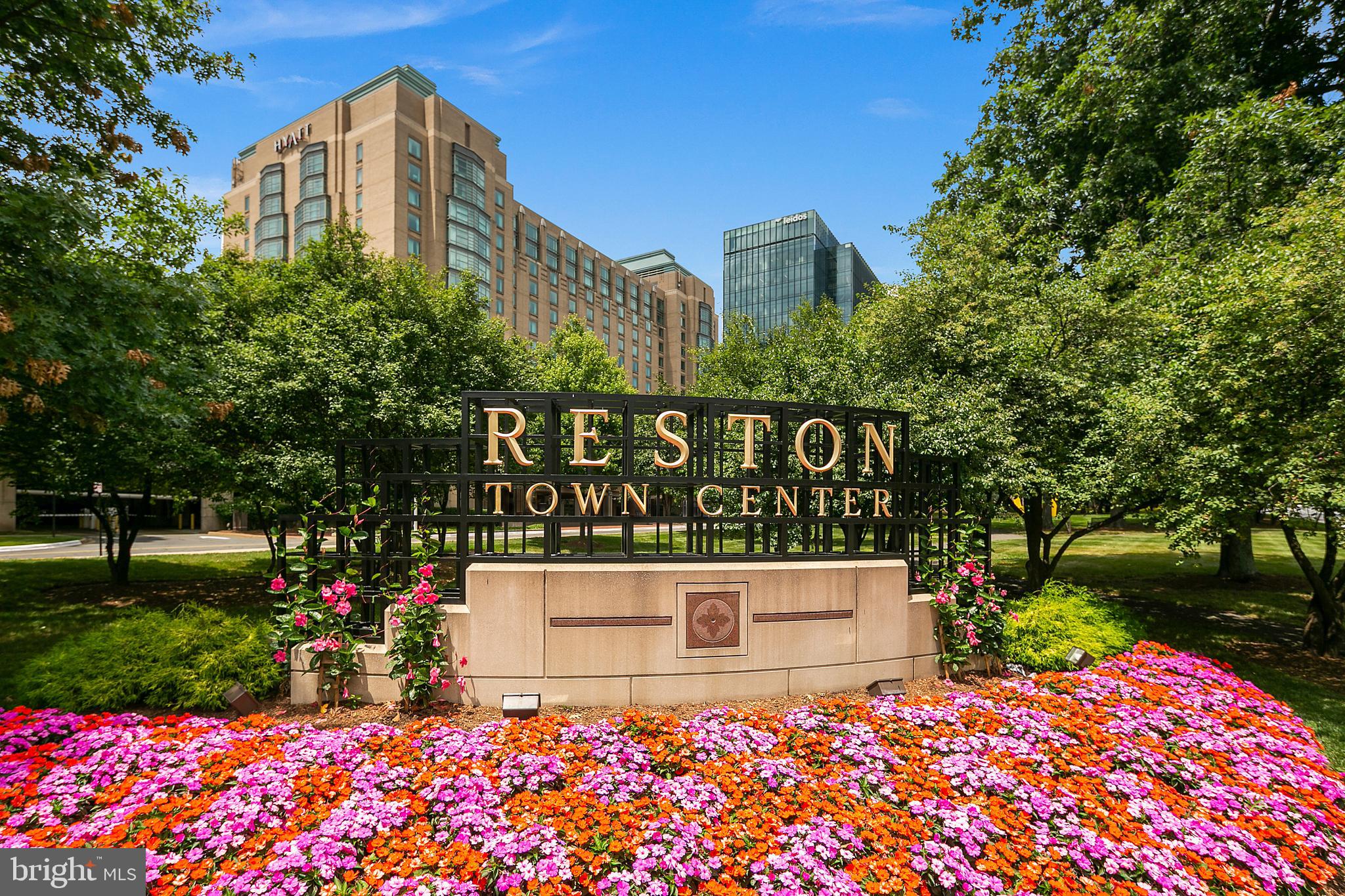 11415 Hollow Timber Ct