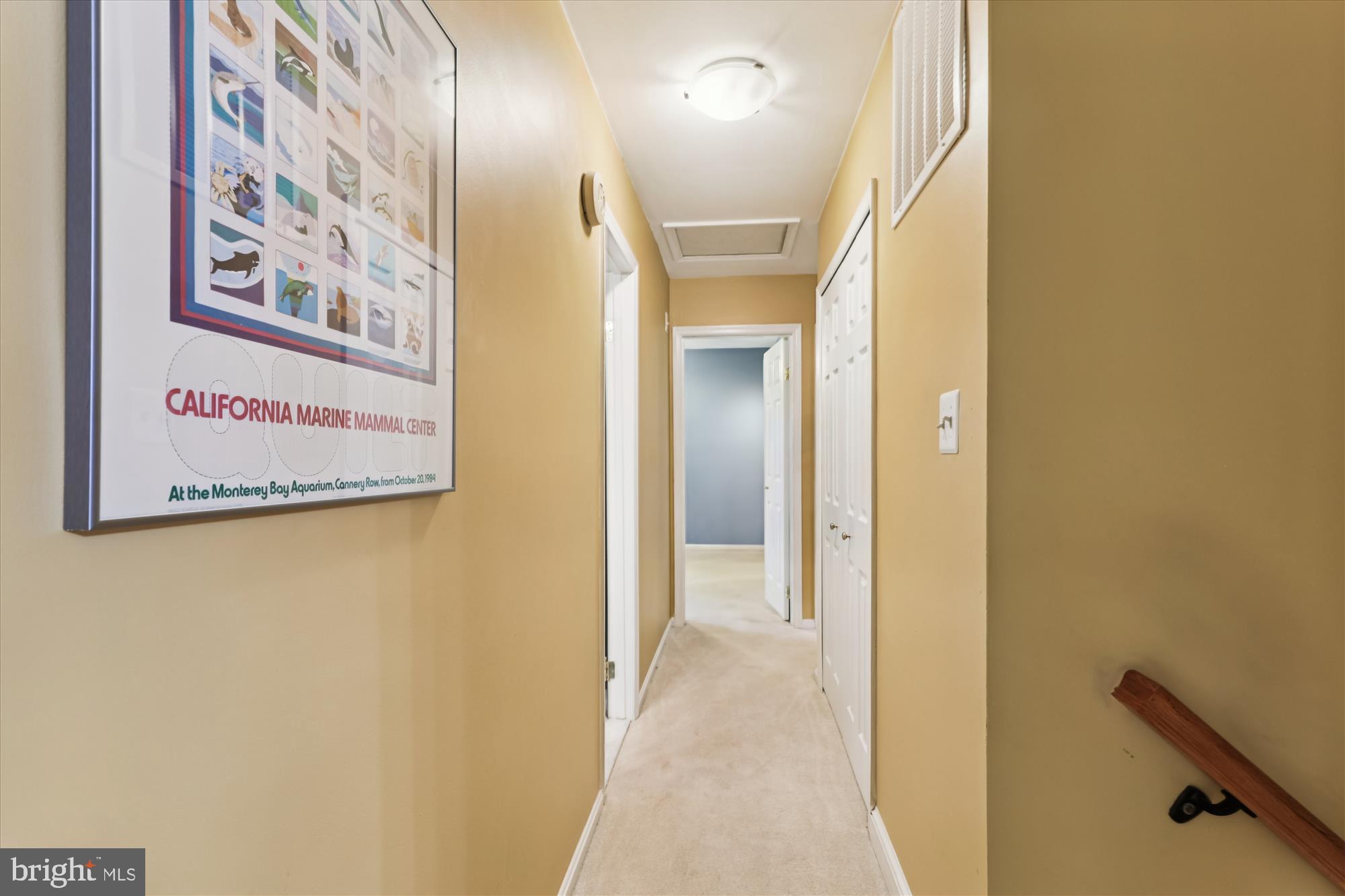 9352 CHESTNUT KNOLLS DRIVE