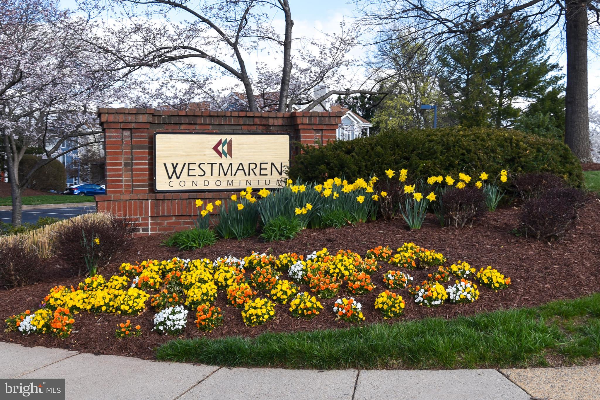 21023 Timber Ridge Ter #303