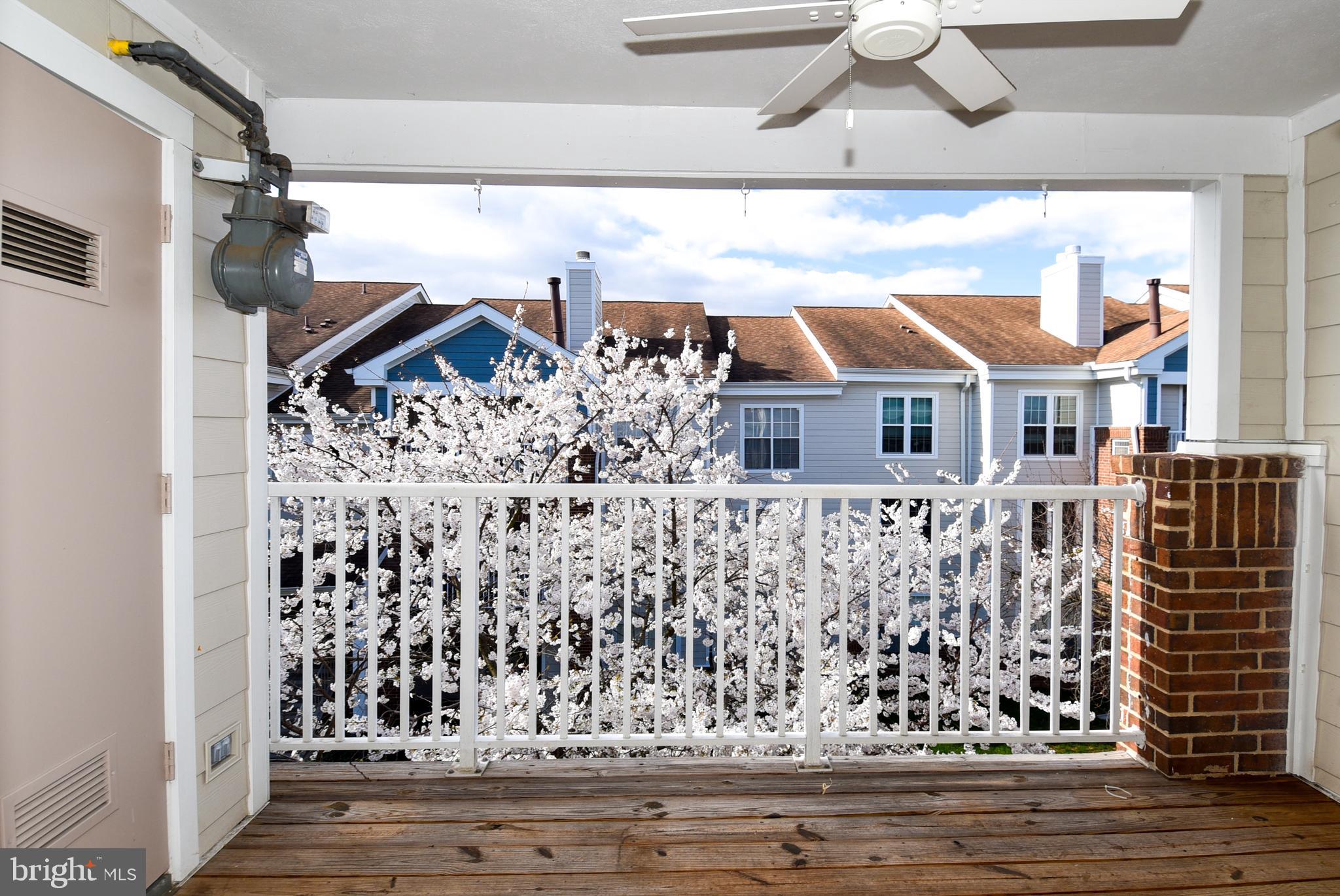 21023 Timber Ridge Ter #303