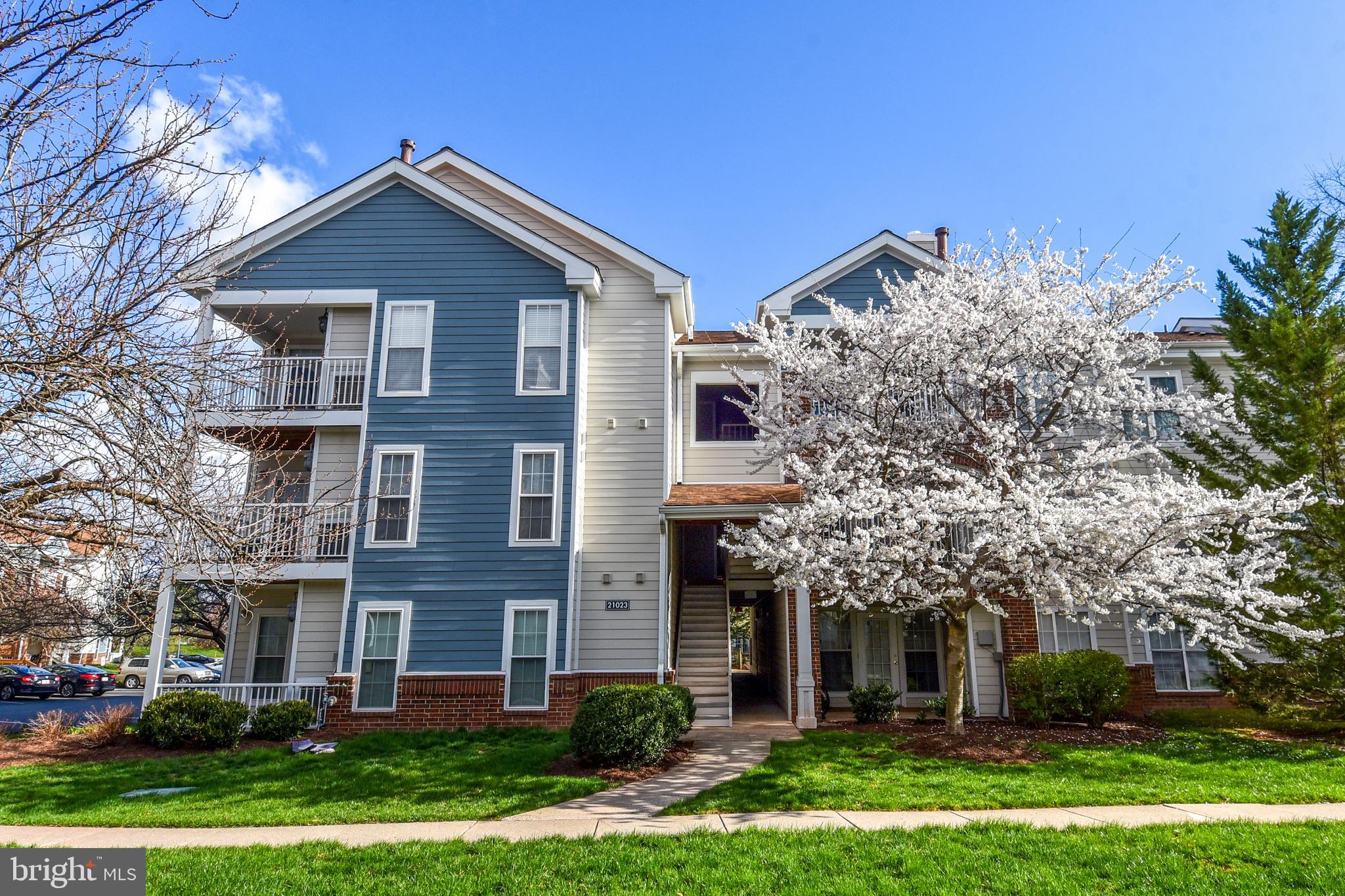 21023 Timber Ridge Ter #303