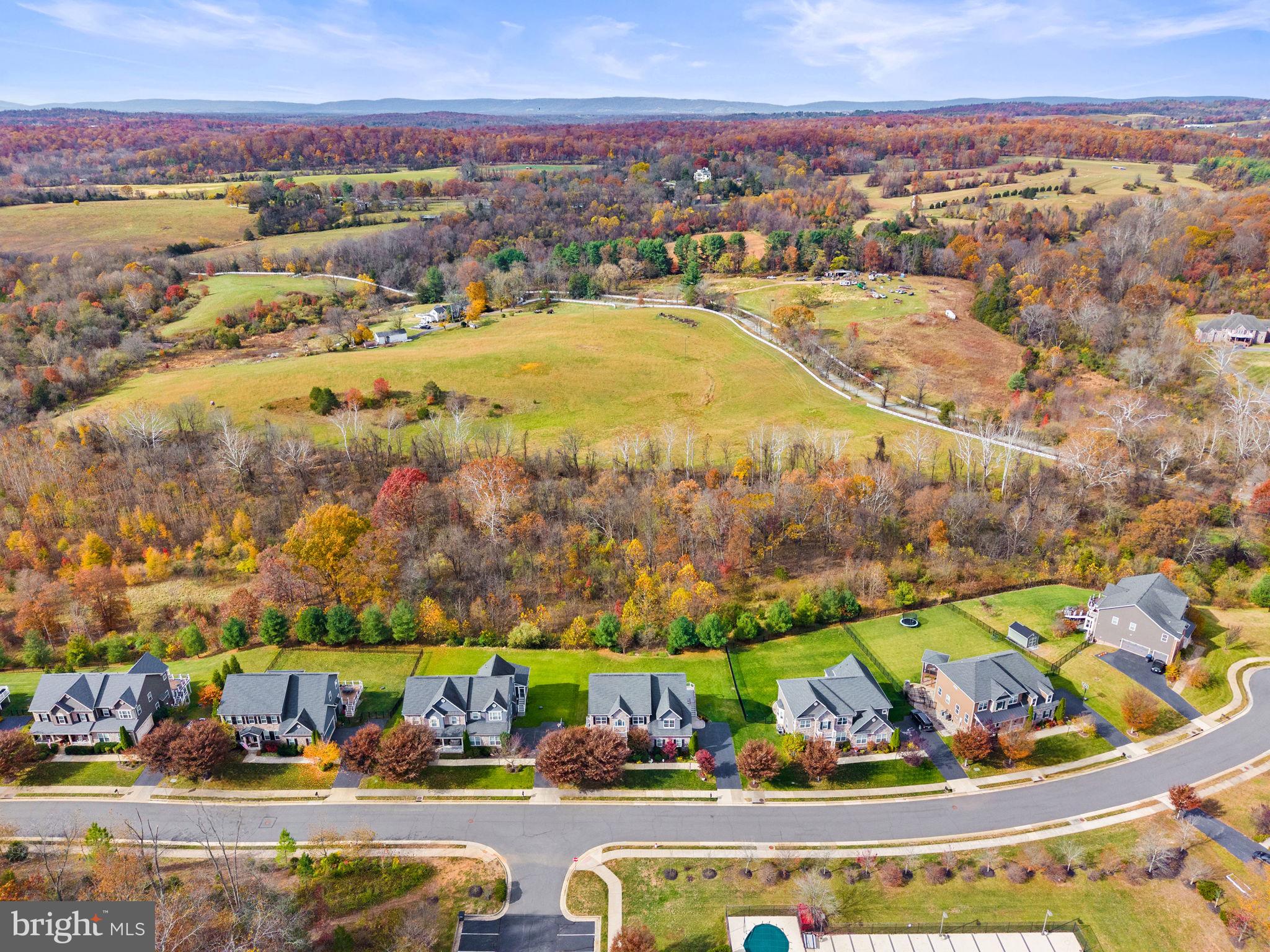 21015 HONEYCREEPER PLACE