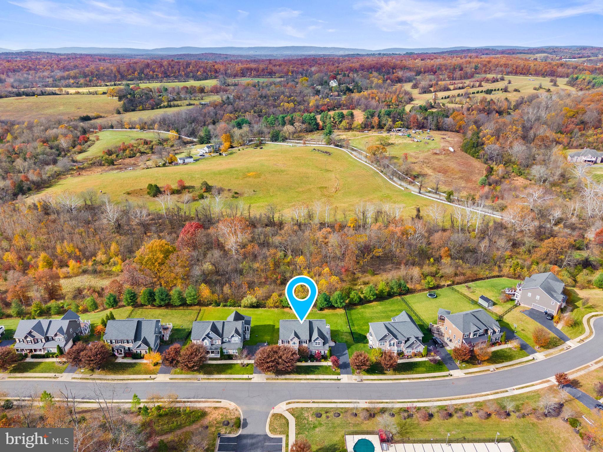 21015 HONEYCREEPER PLACE