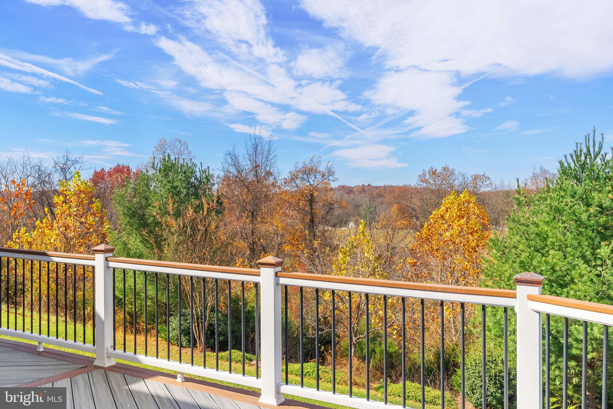 21015 HONEYCREEPER PLACE