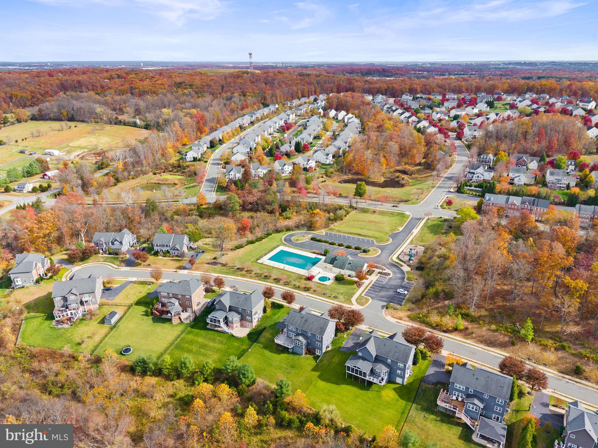 21015 HONEYCREEPER PLACE