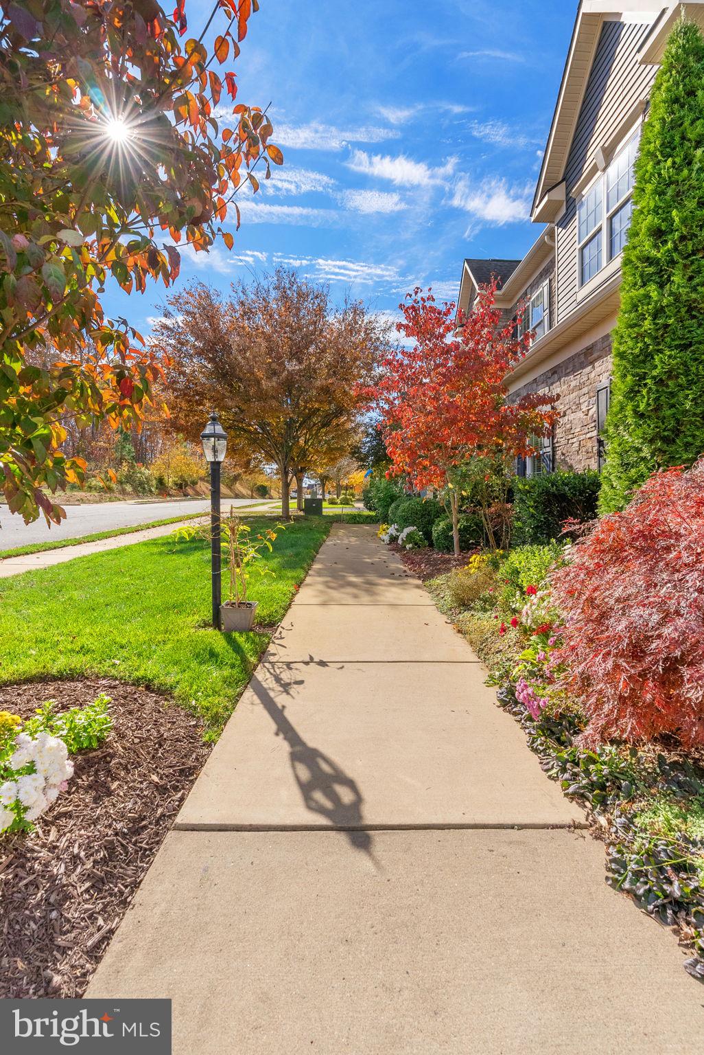 21015 HONEYCREEPER PLACE