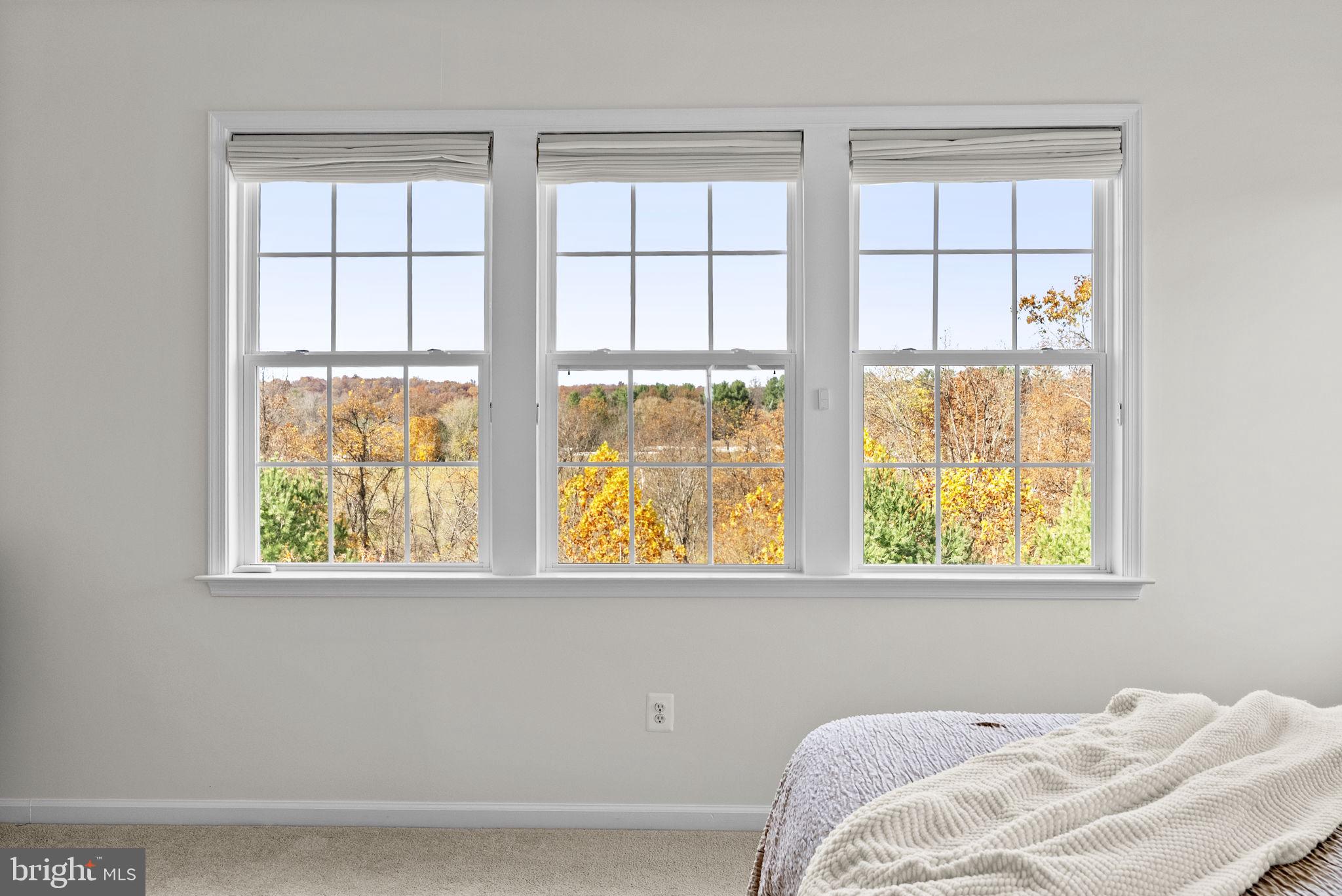 21015 HONEYCREEPER PLACE