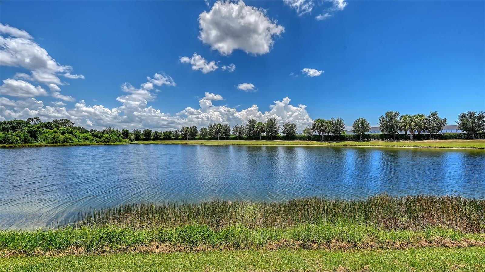 12318 BLUE HILL TRL