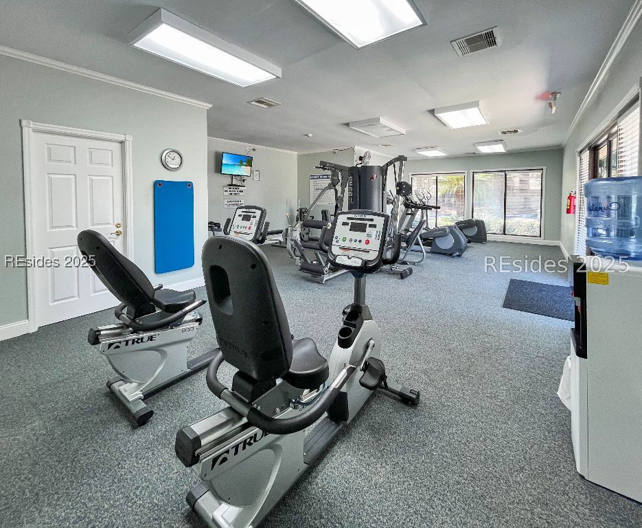 5 Gumtree Road Unit: M-6