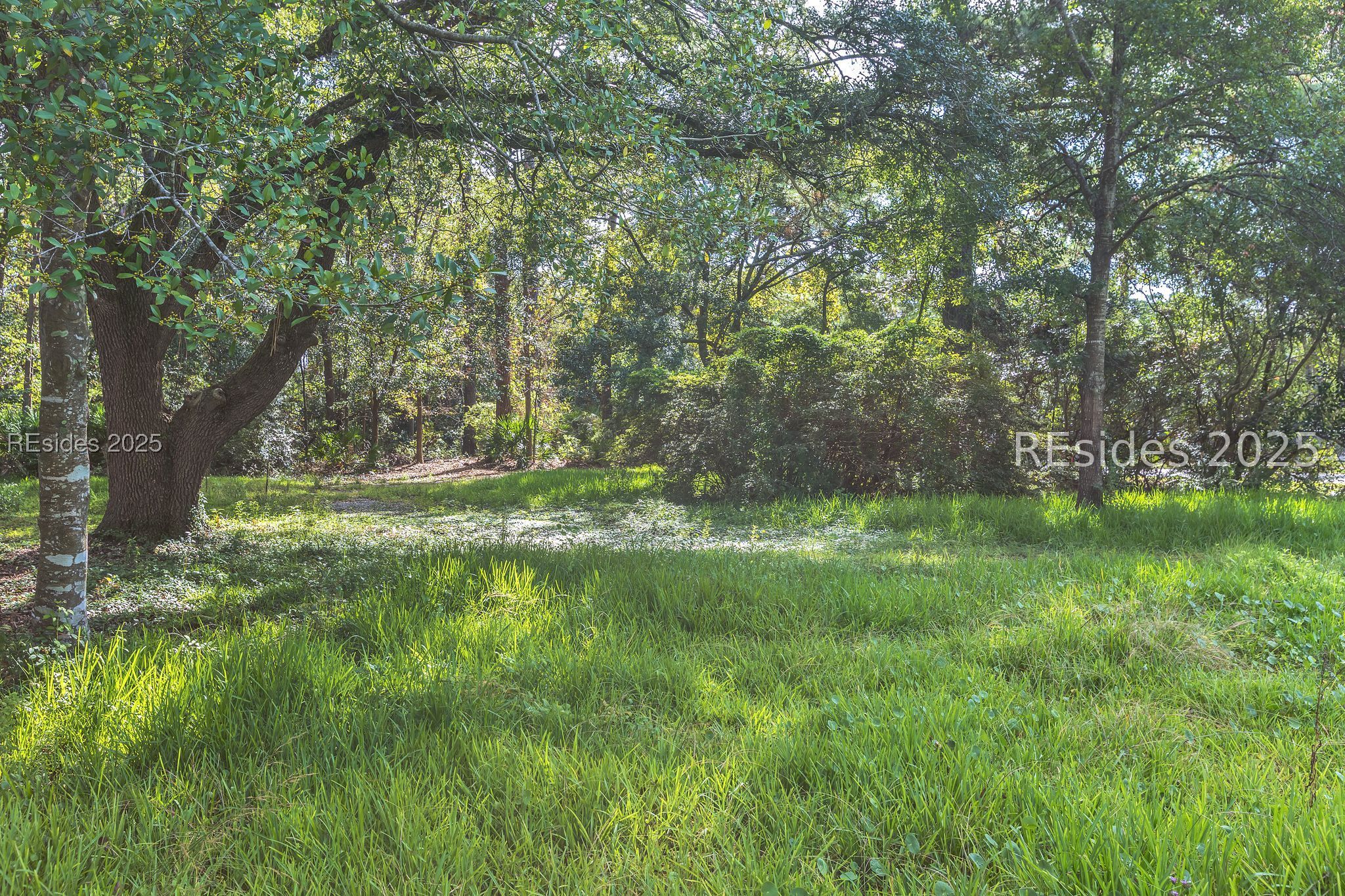 24 Hildebrand Drive