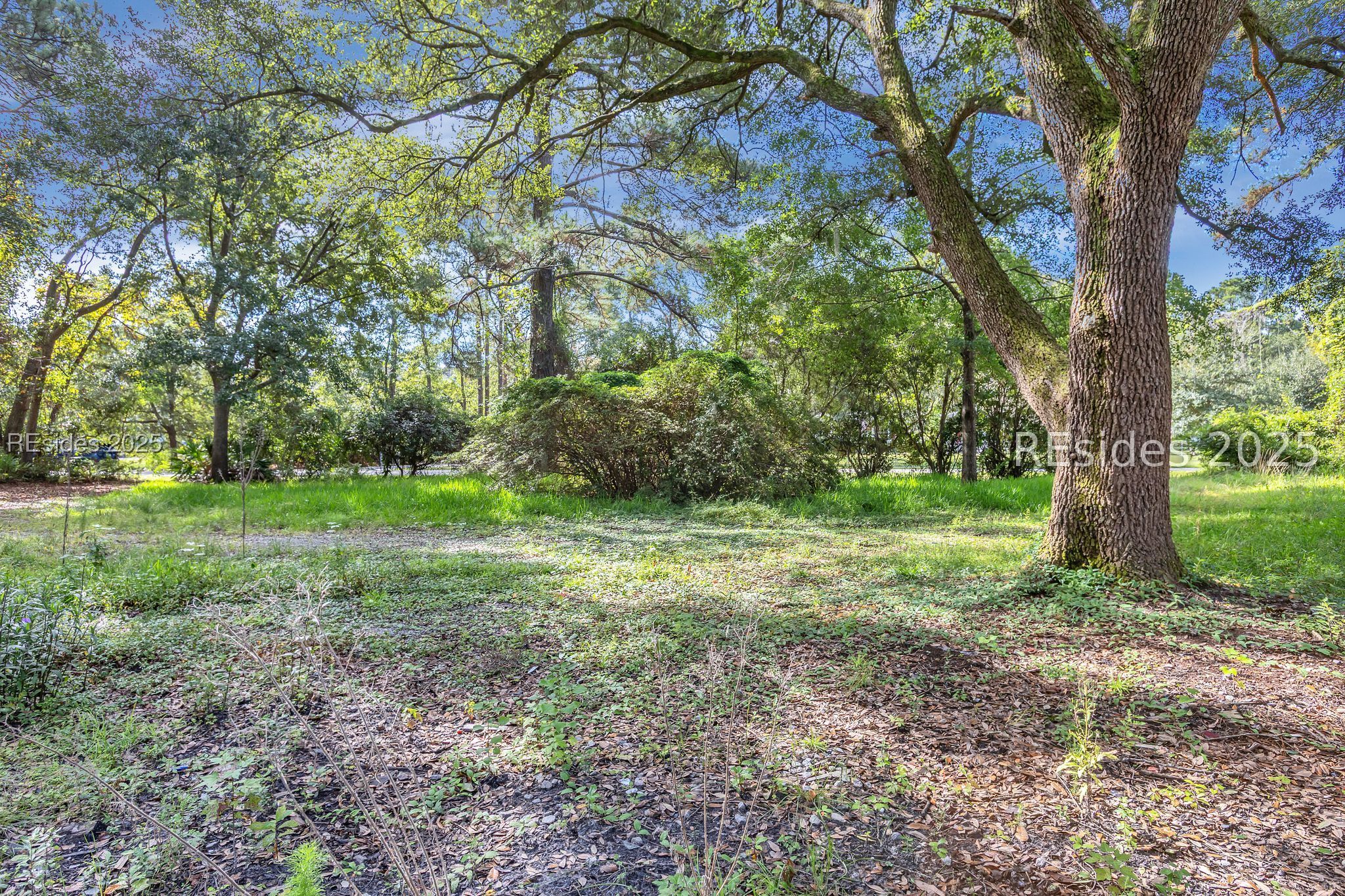 24 Hildebrand Drive
