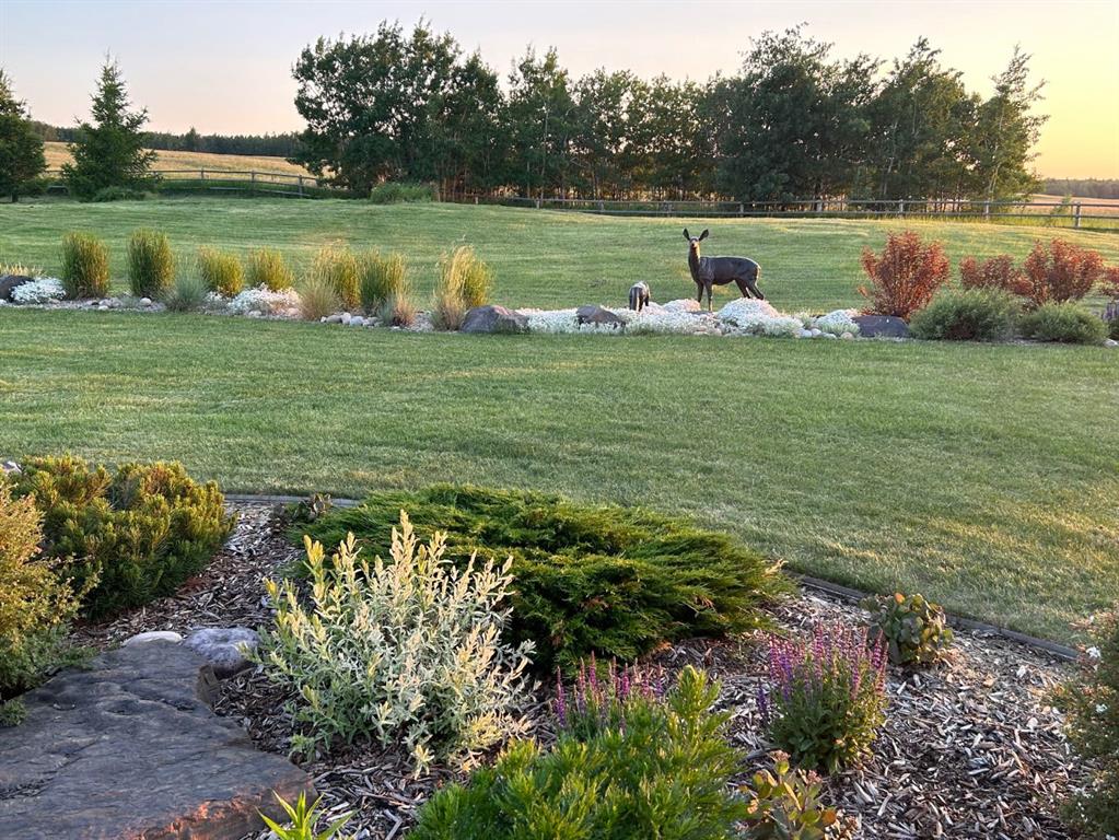 7 Kodiak Springs Cove