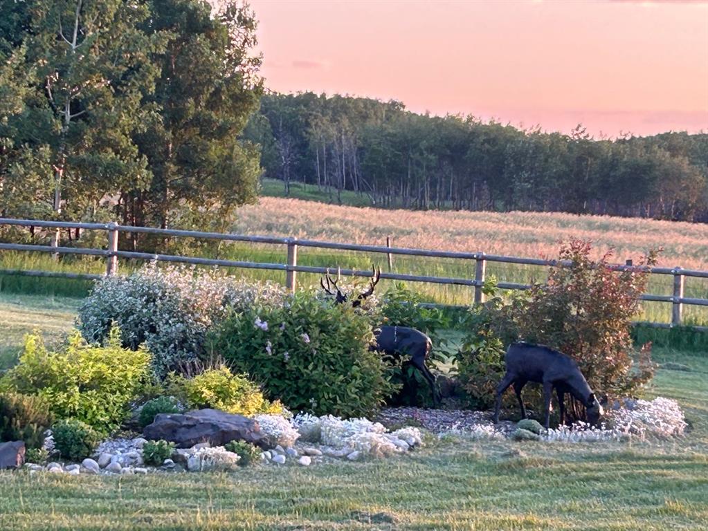 7 Kodiak Springs Cove