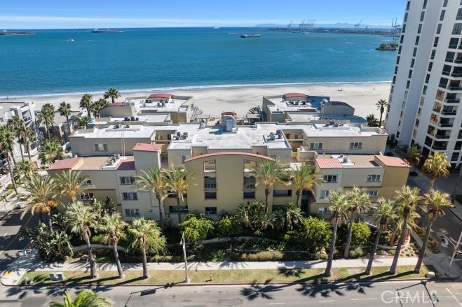 Beachfront condominium buildings beside the sandy shore, with ocean and harbor beyond.