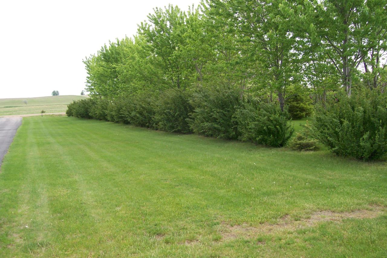 40485 253 st