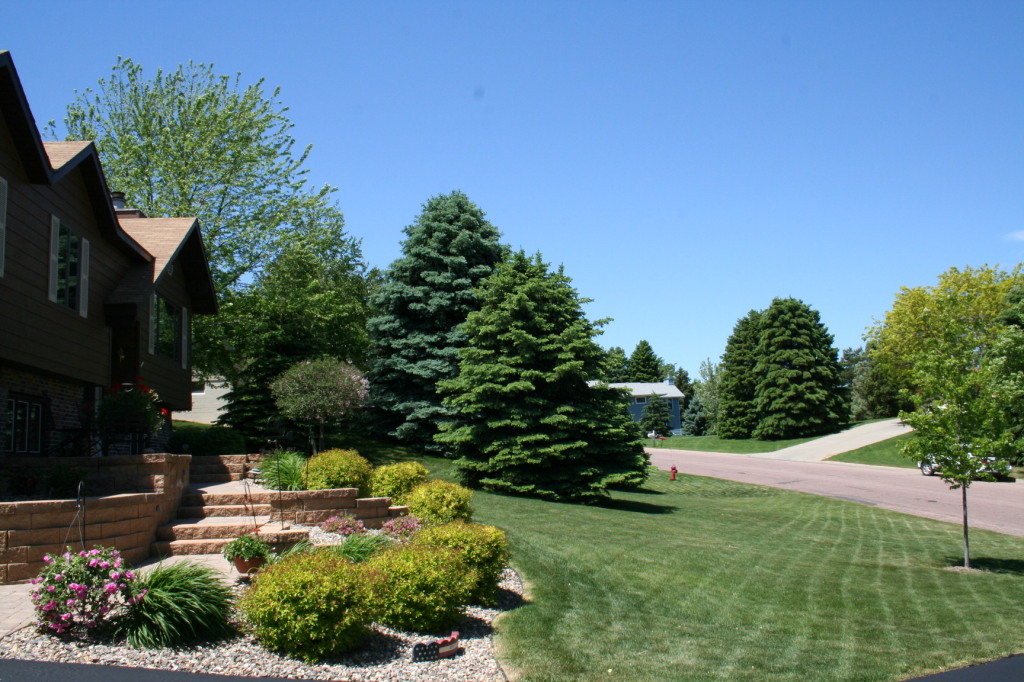 1125 CHALKSTONE Dr