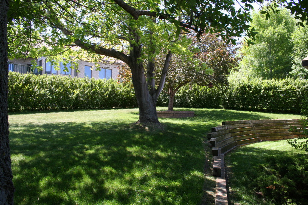 1125 CHALKSTONE Dr