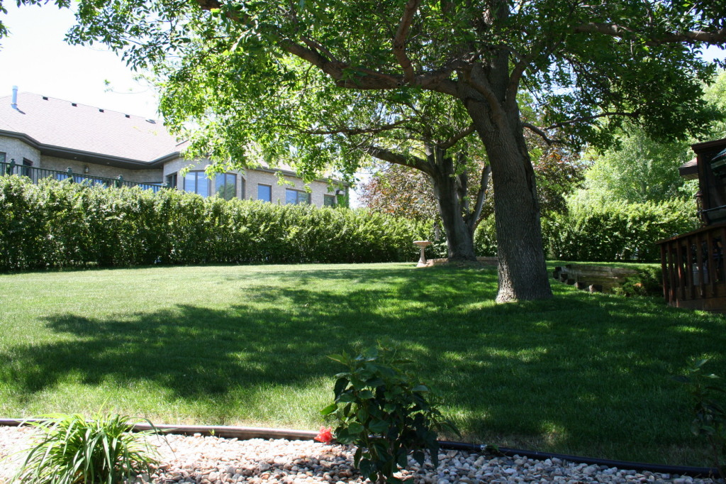 1125 CHALKSTONE Dr