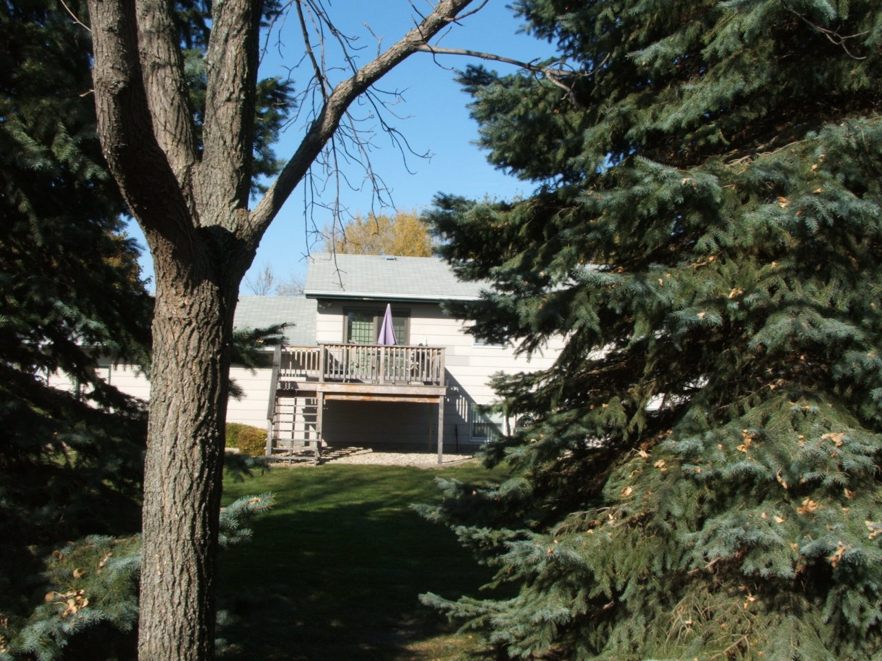1513 E ASH Ave