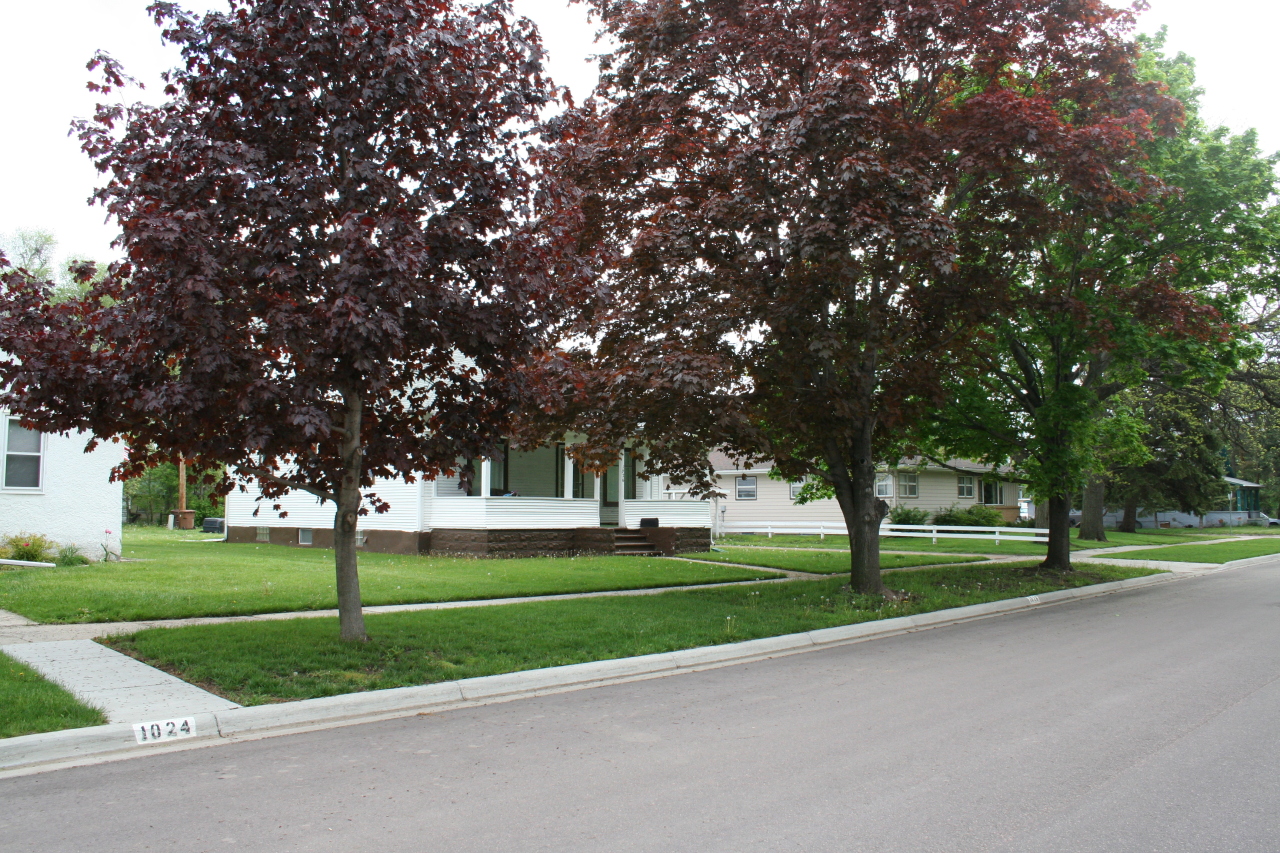 1024 E Hanson