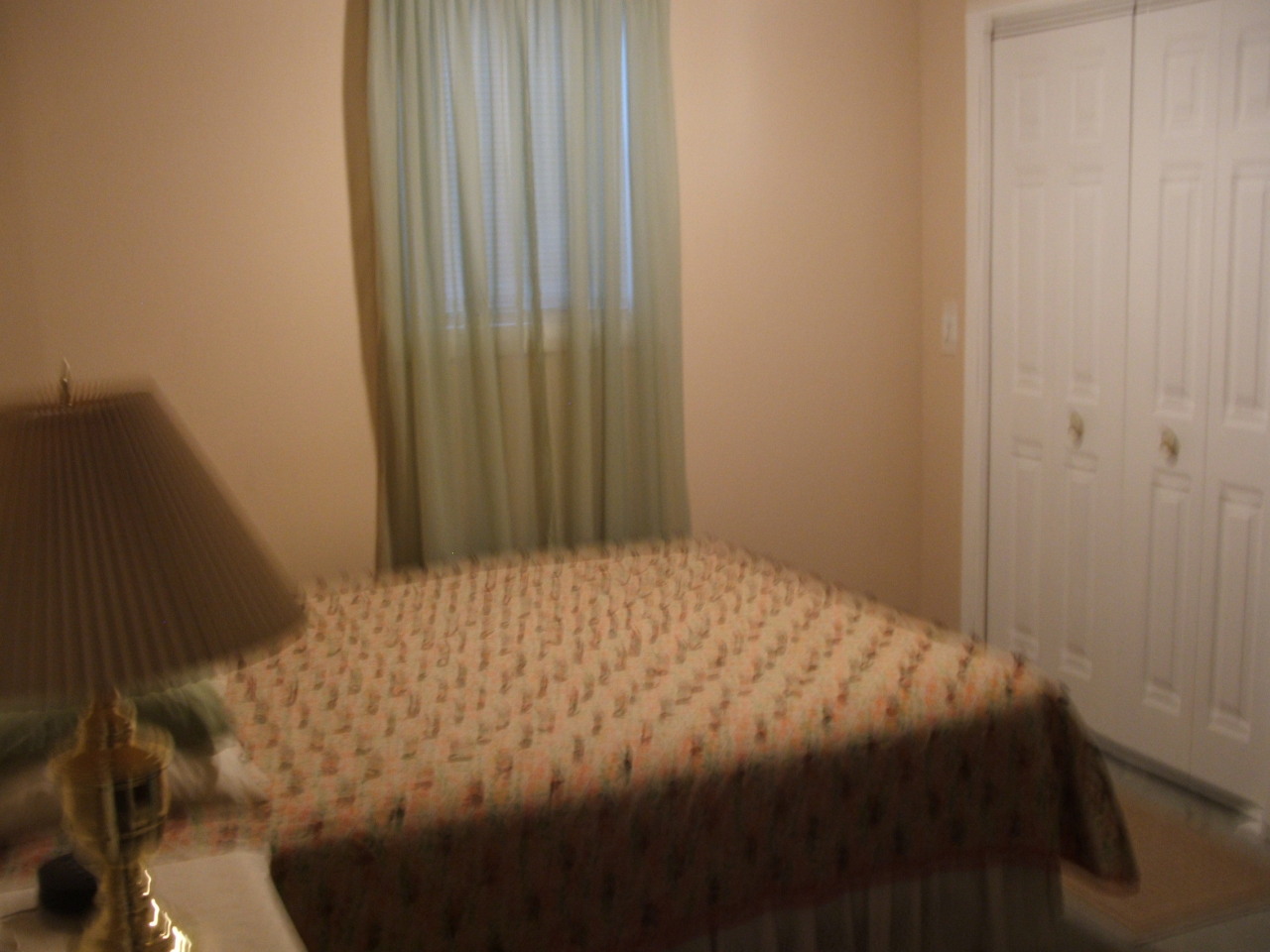 23458 425th Ave.