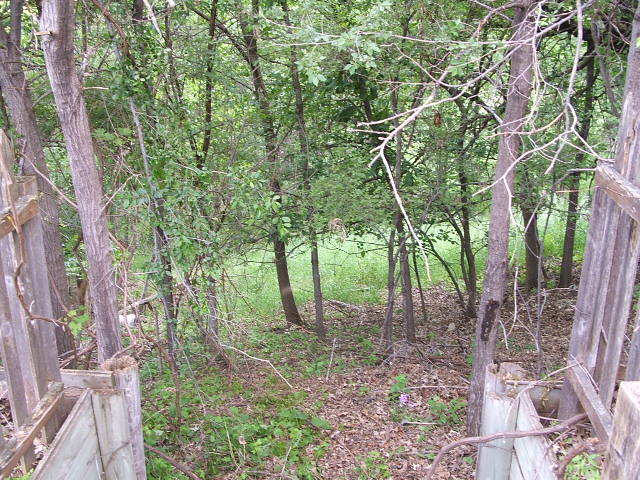 1409 Ridge Road