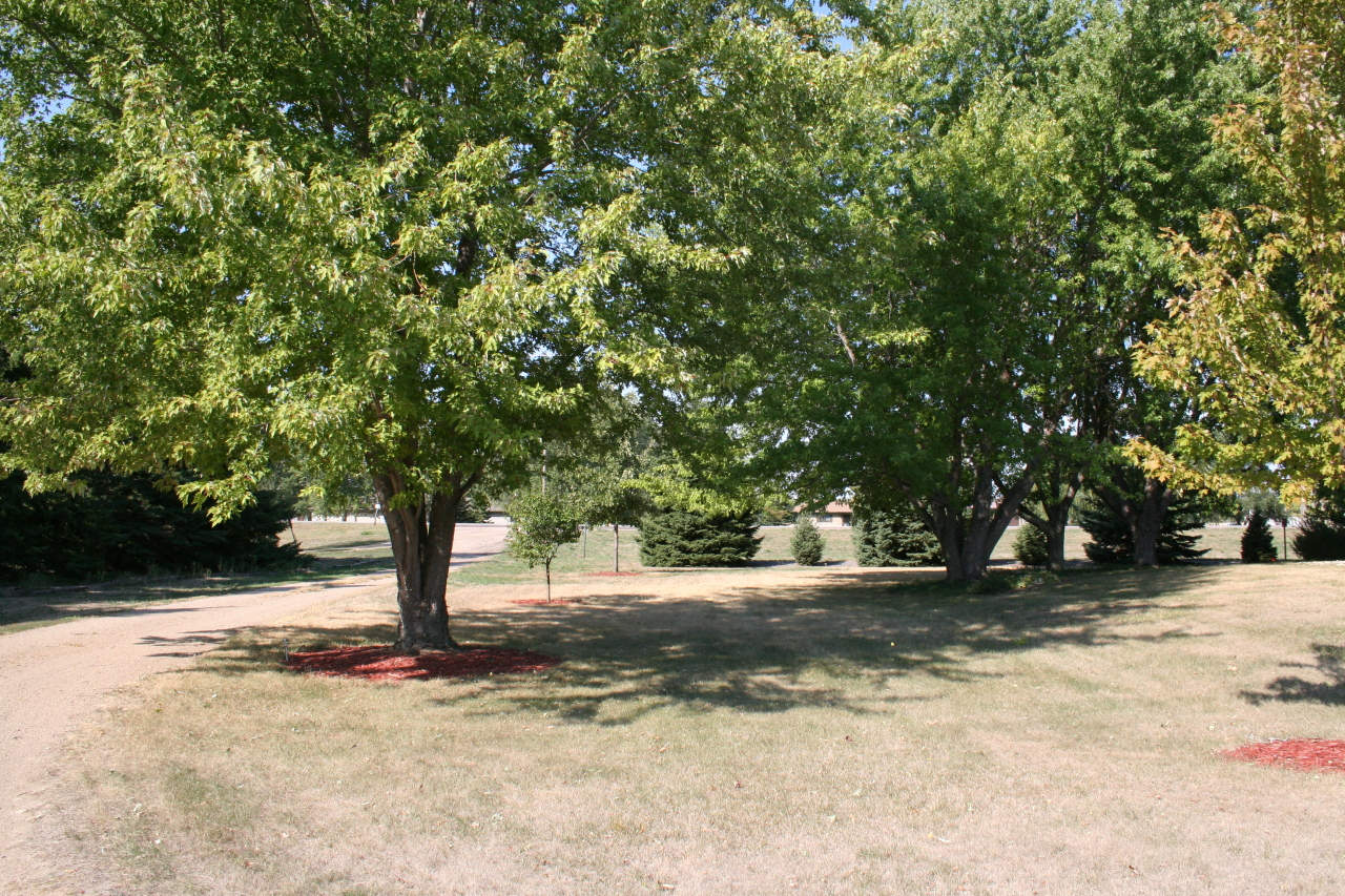25888 Highway 37
