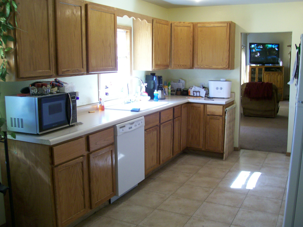 27386 393rd. Ave