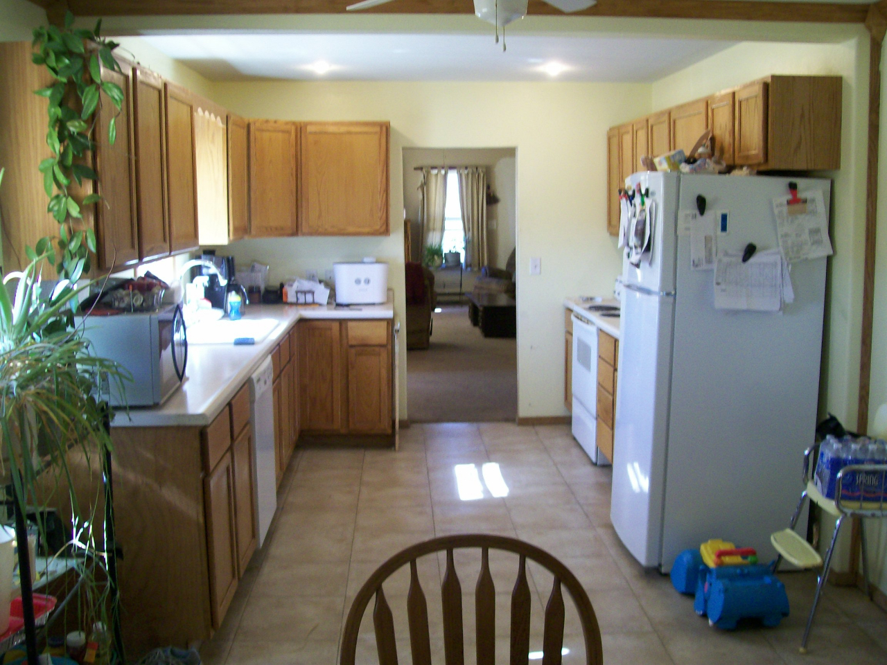 27386 393rd. Ave