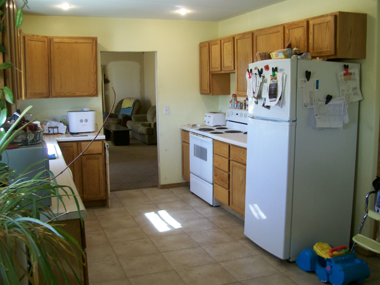 27386 393rd. Ave