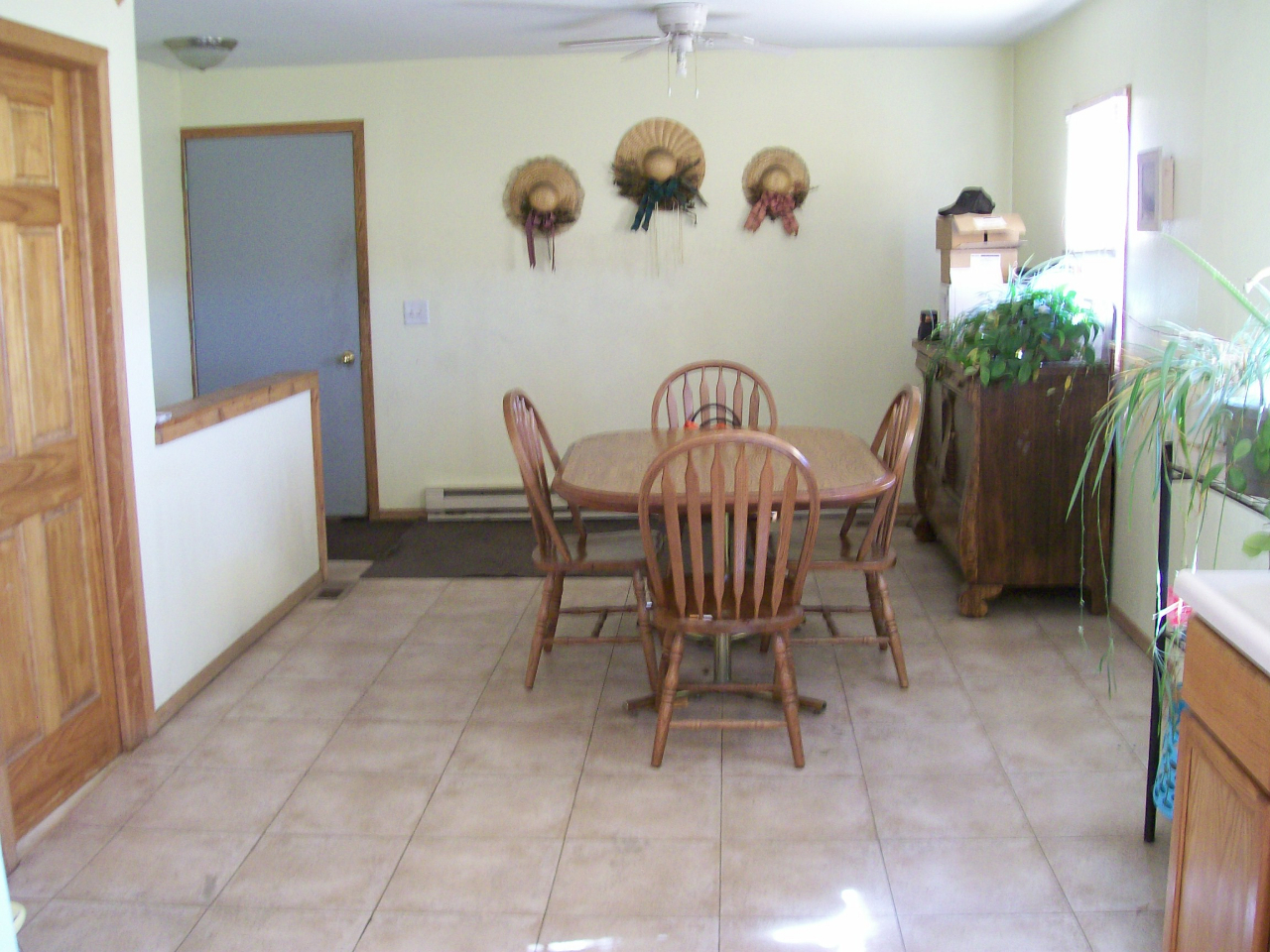 27386 393rd. Ave