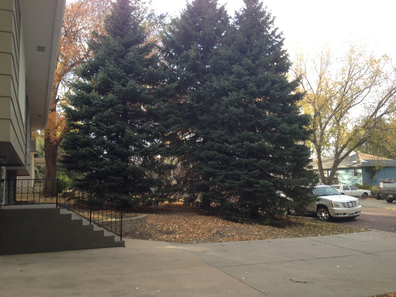 1113 W Hanson