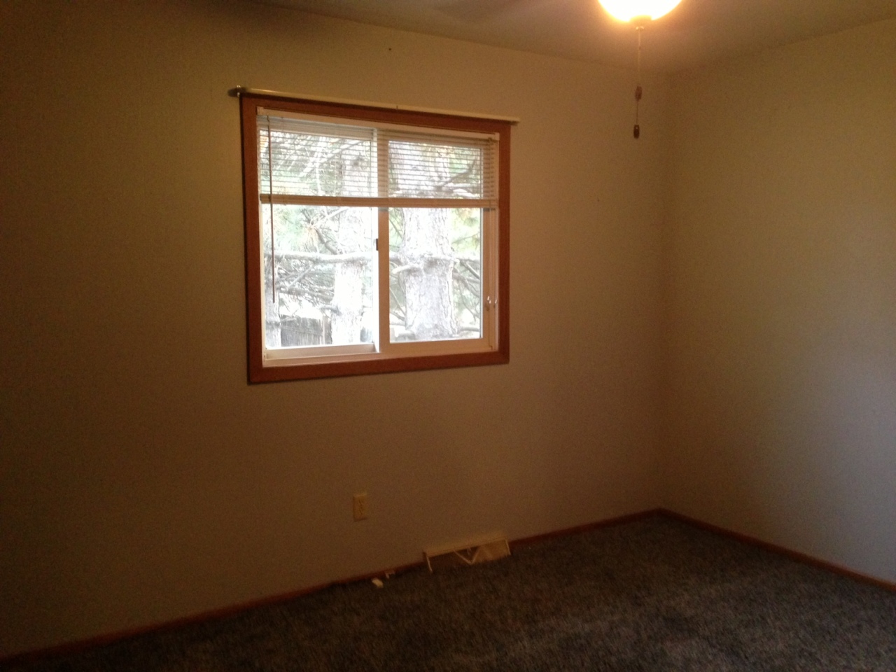 1113 W Hanson