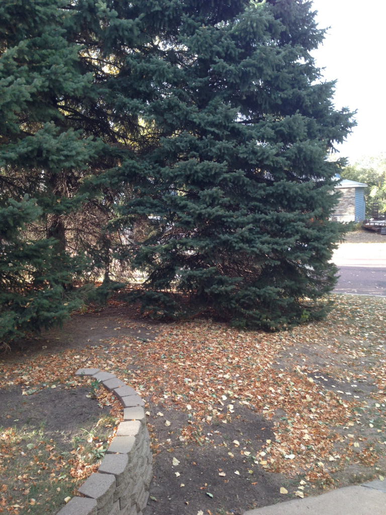 1113 W Hanson