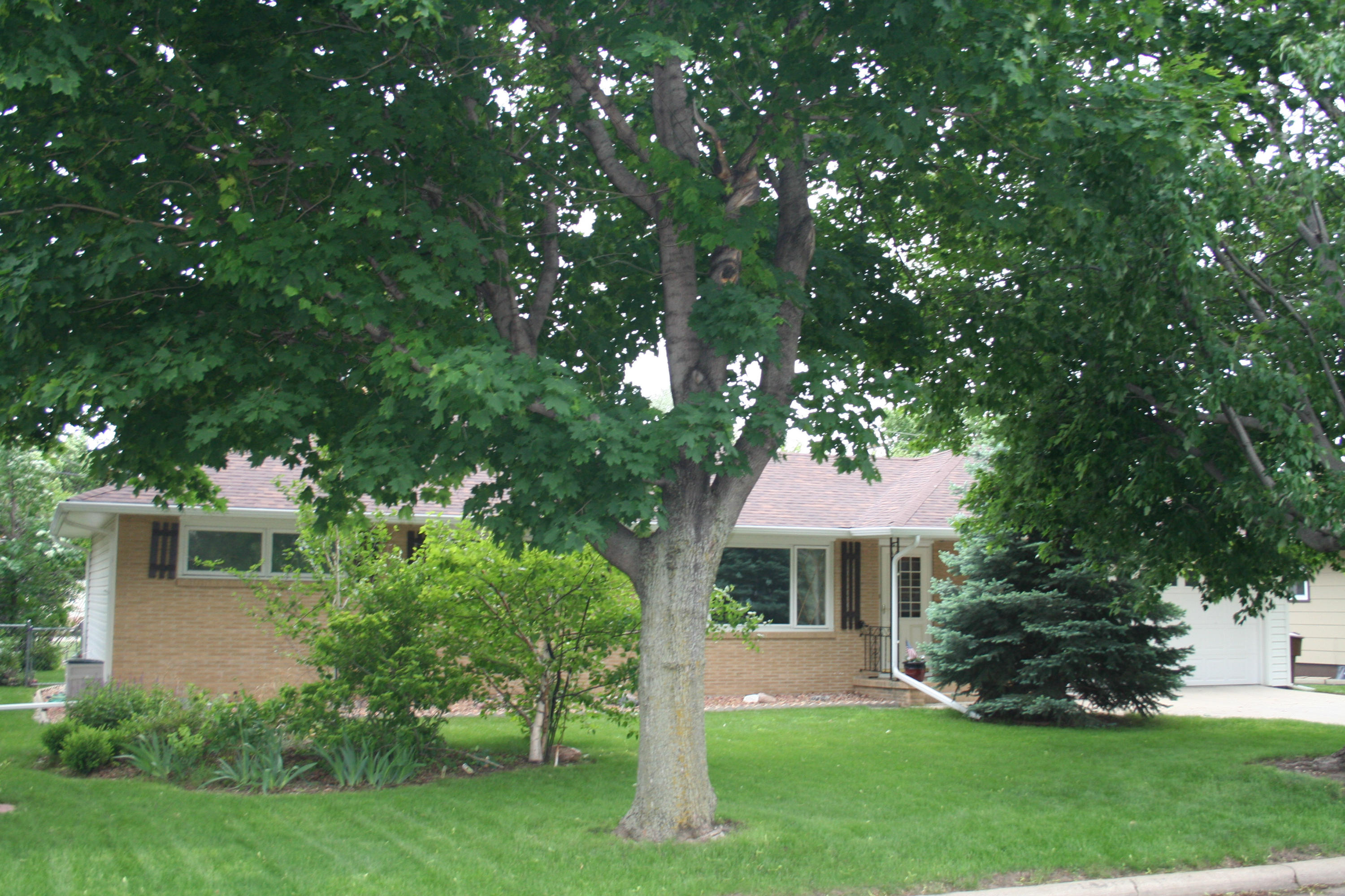 1321 E 2nd Ave