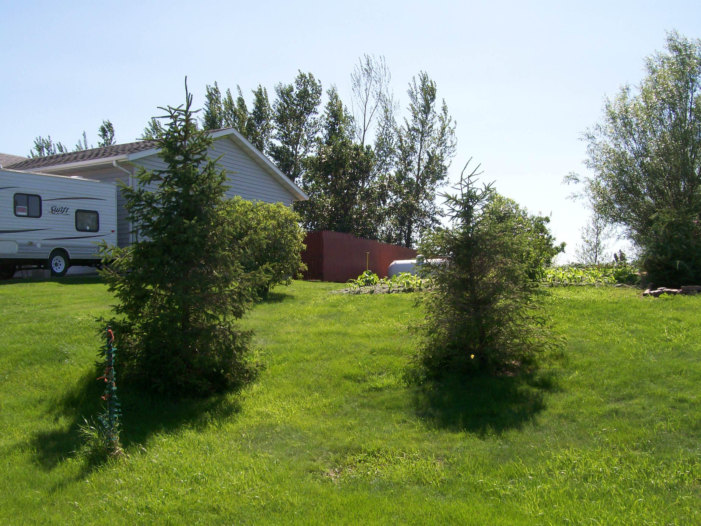 1309 S. Lynn